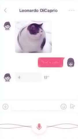 攻击网站服务器软件程序维护界面